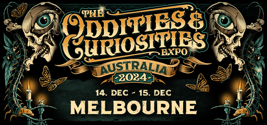 oddities and curiosities expo